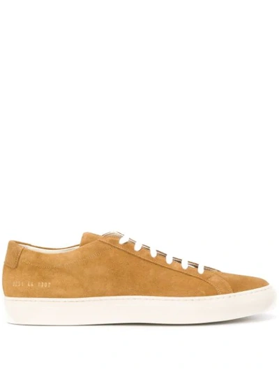 Shop Common Projects Achilles Low-top Sneakers In Brown