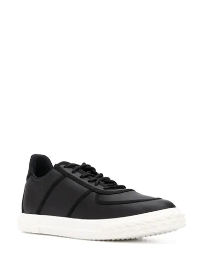 Shop Giuseppe Zanotti Low-top Sneakers In Black