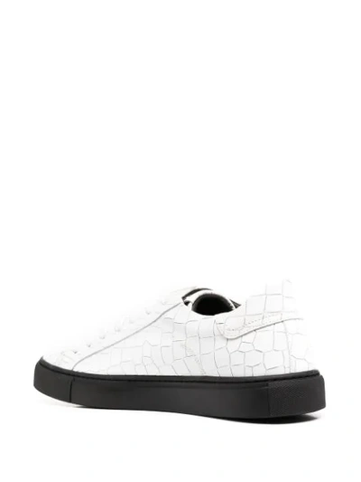 Shop Hide & Jack Crocodile-effect Sneakers In White