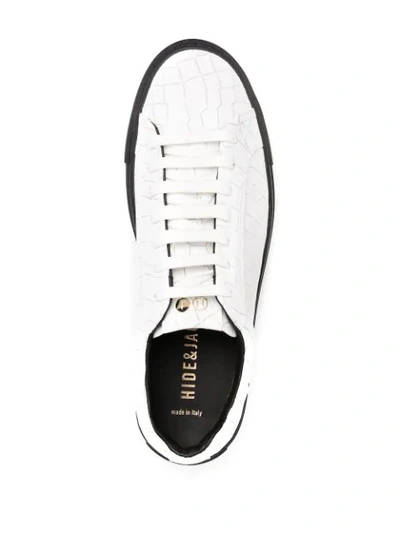 Shop Hide & Jack Crocodile-effect Sneakers In White