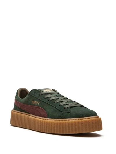 Shop Fenty X Puma Suede Creeper Sneakers In Green