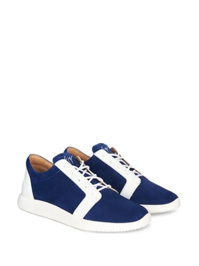 Shop Giuseppe Zanotti Ross Low-top Sneakers In Blue