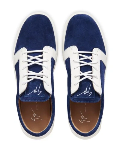 Shop Giuseppe Zanotti Ross Low-top Sneakers In Blue