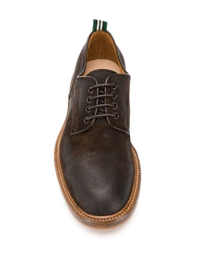 Shop Green George Lace-up Derby Shoes In Brown