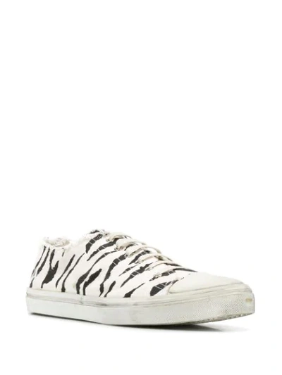 Shop Saint Laurent Zebra Print Distressed Detail Sneakers In White
