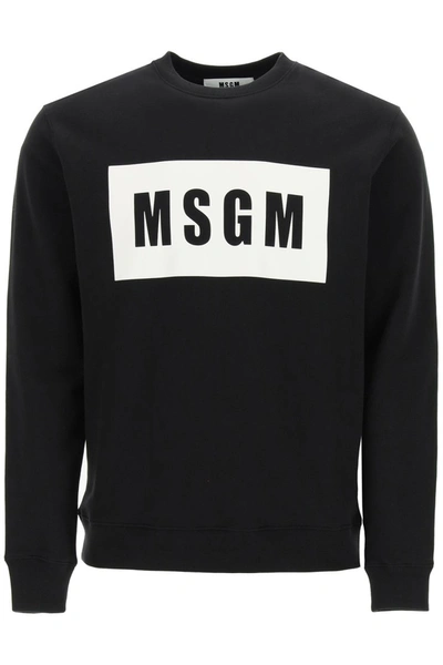 Shop Msgm Logo Box Sweatshirt In Black