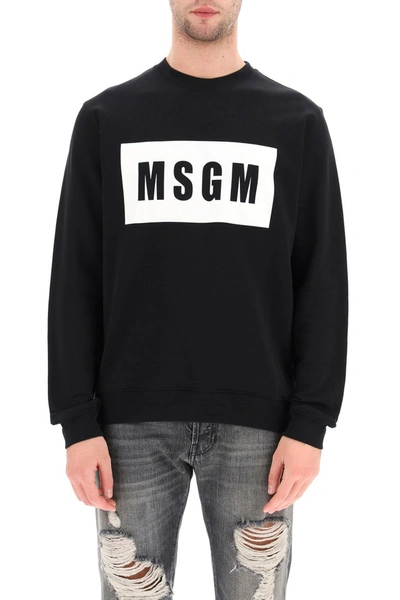 Shop Msgm Logo Box Sweatshirt In Black