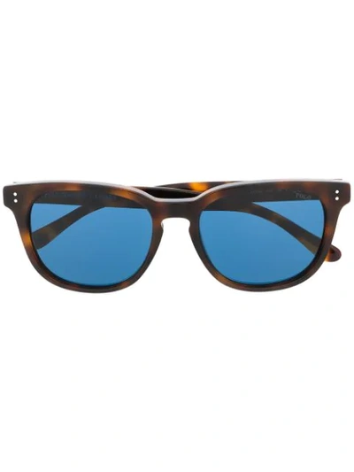 Shop Polo Ralph Lauren Tortoiseshell Effect Square Frame Sunglasses In Brown