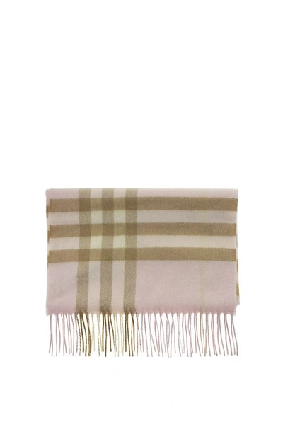 burberry pink cashmere scarf