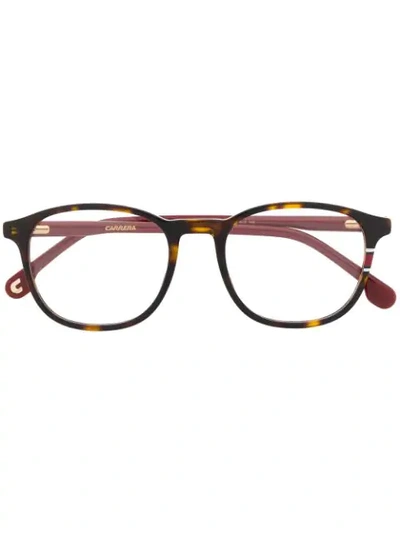 Shop Carrera Square Frame Glasses In Brown