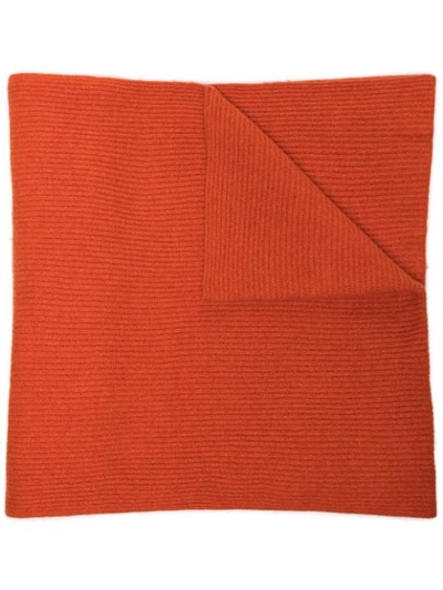 Shop Ganni Ribbed-knit Long Scarf In Orange