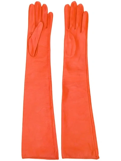 Shop Manokhi Elbow-length Gloves In Orange