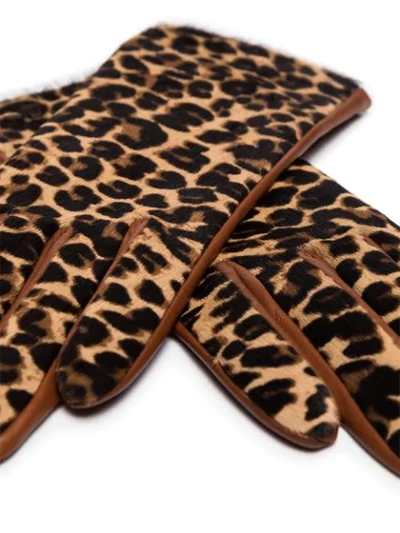 Shop Agnelle Chloe Leopard-print Gloves In Brown