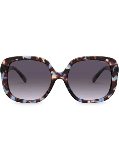 Shop Coach Marble Effect Sunglasses In 56138g Blue Tortoise