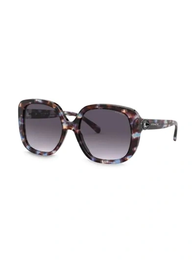 Shop Coach Marble Effect Sunglasses In 56138g Blue Tortoise