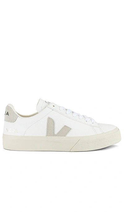 Shop Veja Campo Sneaker In Extra White & Natural Suede