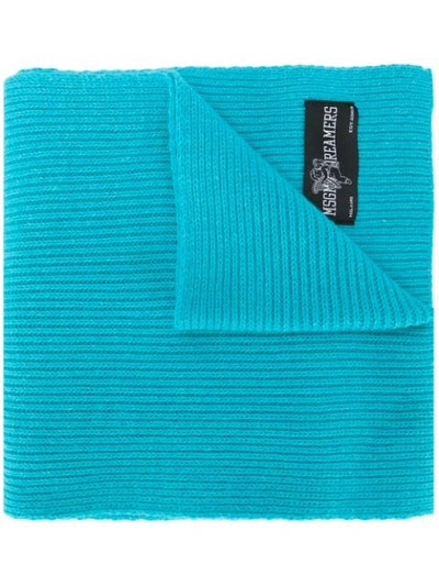 Shop Msgm Ribbed Knit Scarf In Blue