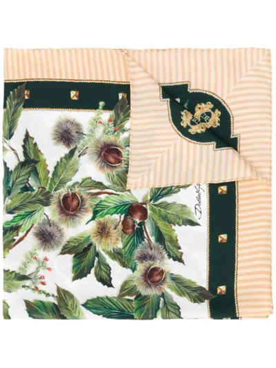 Shop Dolce & Gabbana Chestnut Print Silk Scarf In Green