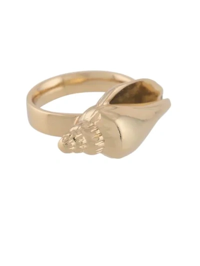 Shop Tohum Colubra Shell Ring In Gold