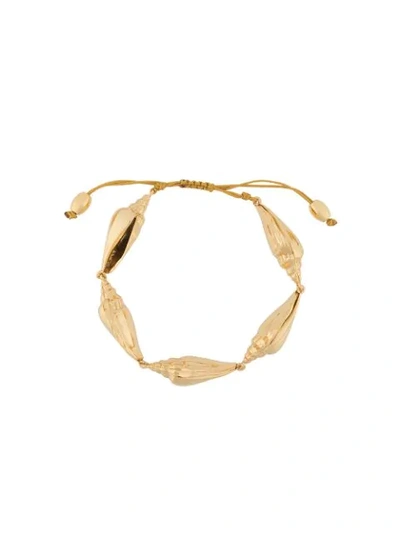 Shop Tohum Colubra Shell Bracelet In Gold
