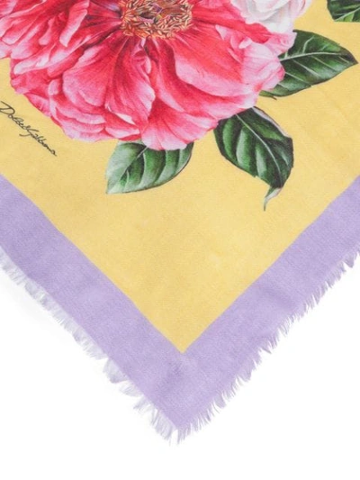 Shop Dolce & Gabbana Floral-print Scarf In Pink