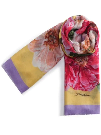 Shop Dolce & Gabbana Floral-print Scarf In Pink