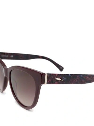 Shop Longchamp Tortoiseshell Cat-eye Sunglasses In Pink
