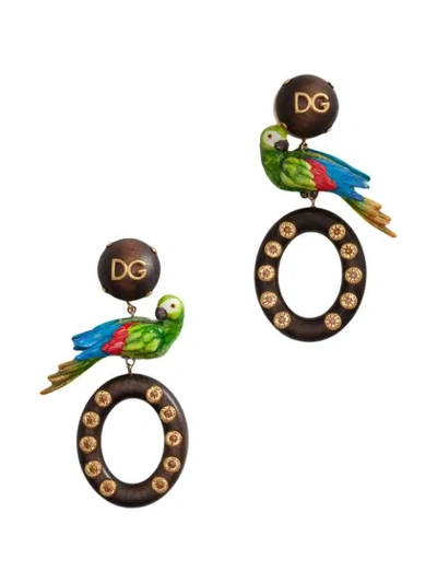 Shop Dolce & Gabbana Parrot Detail Drop Earrings In Brown