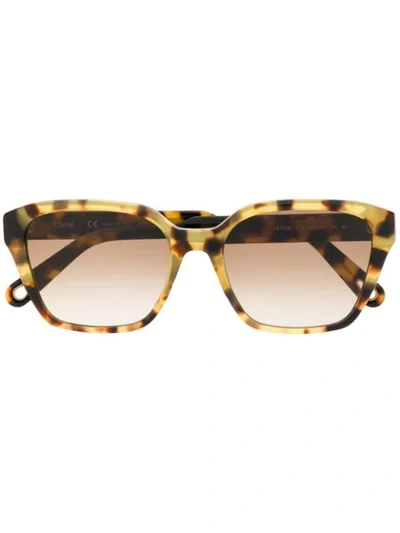 Shop Chloé Willow Square-frame Sunglasses In Brown