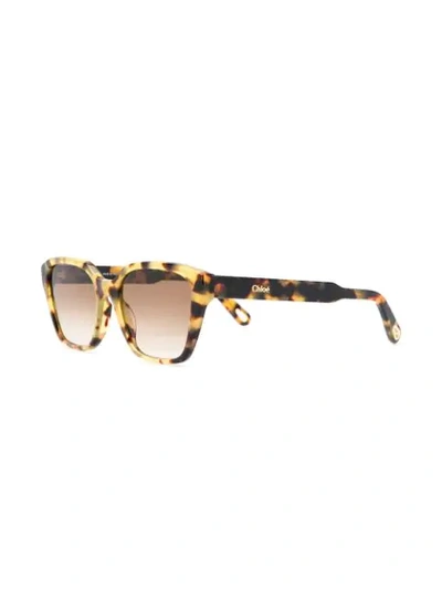 TORTOISESHELL OVERSIZED SUNGLASSES