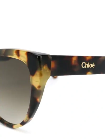 Shop Chloé Willow Cat-eye Frame Sunglasses In Brown