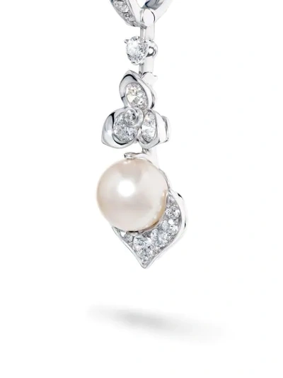 Shop David Morris 18kt White Gold Trillium Akoya Pearl & White Diamond Earrings In Silver