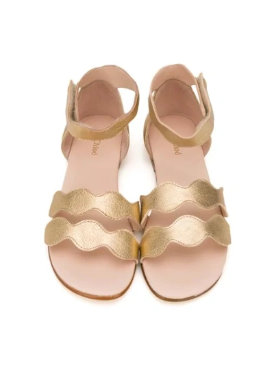 Shop Chloé Scallop Strap Flat Sandals In Gold