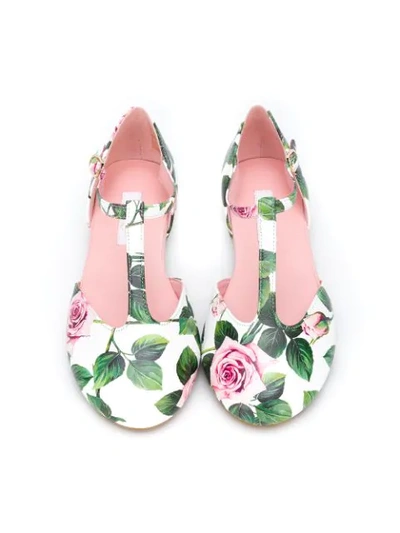 Shop Dolce & Gabbana Rose Print Ballerina Shoes In White
