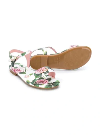 Shop Dolce & Gabbana Crystal-embellished Rose Print Sandals In White