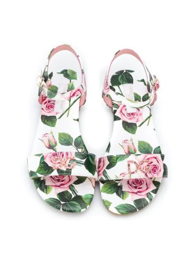Shop Dolce & Gabbana Crystal-embellished Rose Print Sandals In White