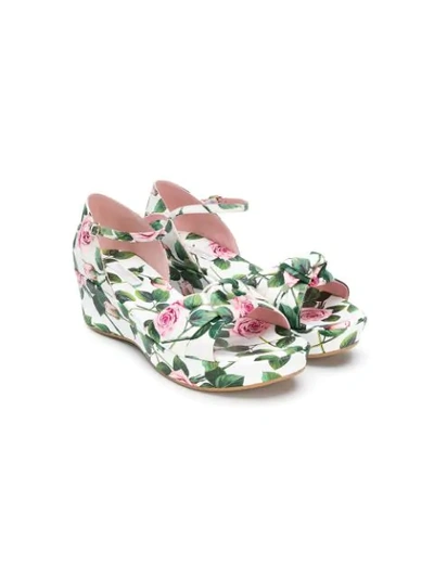Shop Dolce & Gabbana Teen Rose Print Platform Sandals In White