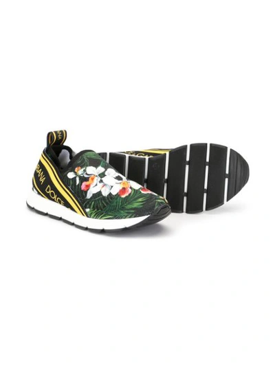 Shop Dolce & Gabbana Floral Print Logo Trainers In Green