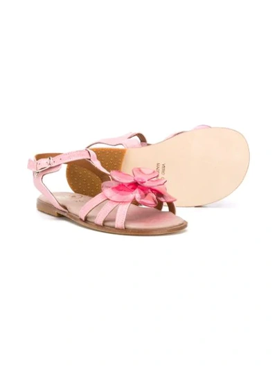 Shop Pèpè Floral 10mm Sandals In Pink