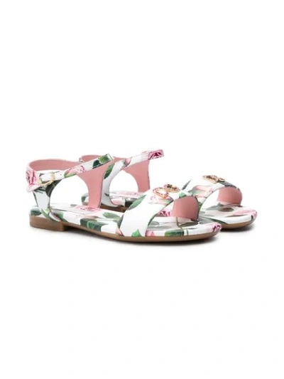Shop Dolce & Gabbana Tropical Rose-print Sandals In White