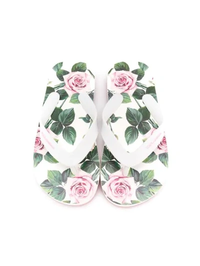 Shop Dolce & Gabbana Topical Rose Print Flip-flops In White