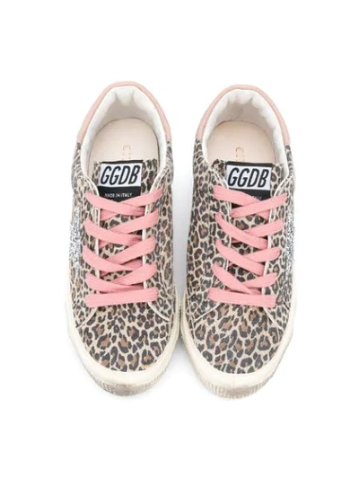 Shop Golden Goose Leopard Print Superstar Sneakers In Brown