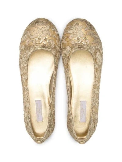 Shop Dolce & Gabbana Logo Lace-detail Ballerina Shoes In Gold