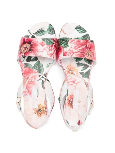 Shop Dolce & Gabbana Teen Floral-print Sandals In Pink