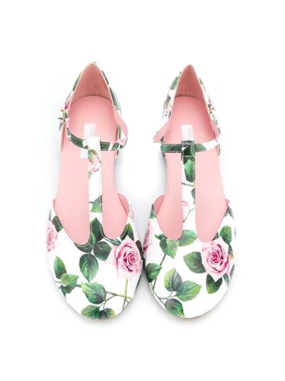 Shop Dolce & Gabbana Teen Rose Print Ballerina Shoes In White