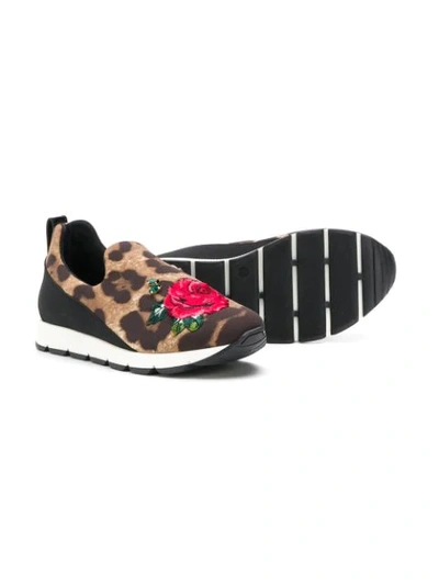 Shop Dolce & Gabbana Leopard Print Slip-on Sneakers In Brown