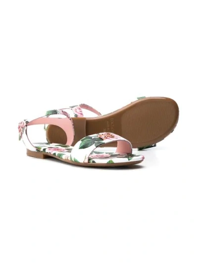 Shop Dolce & Gabbana Teen Tropical Rose Sandals In White
