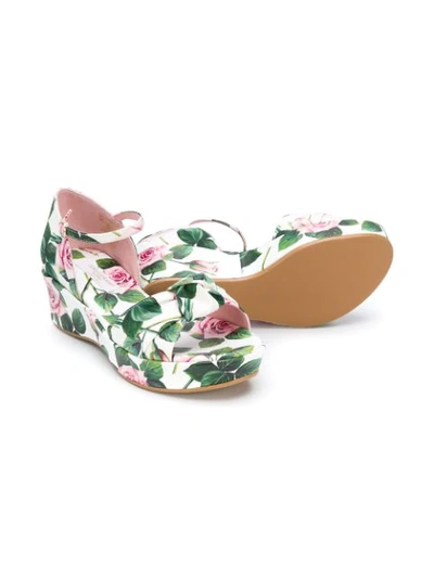 Shop Dolce & Gabbana Rose Print Platform Sandals In White