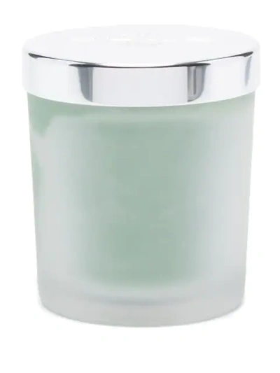 Shop Etro Profumi Musk Scented Candle In Green