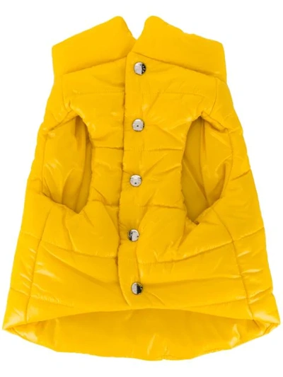 Shop Moncler X Poldo Dog Puffer Jacket In Yellow